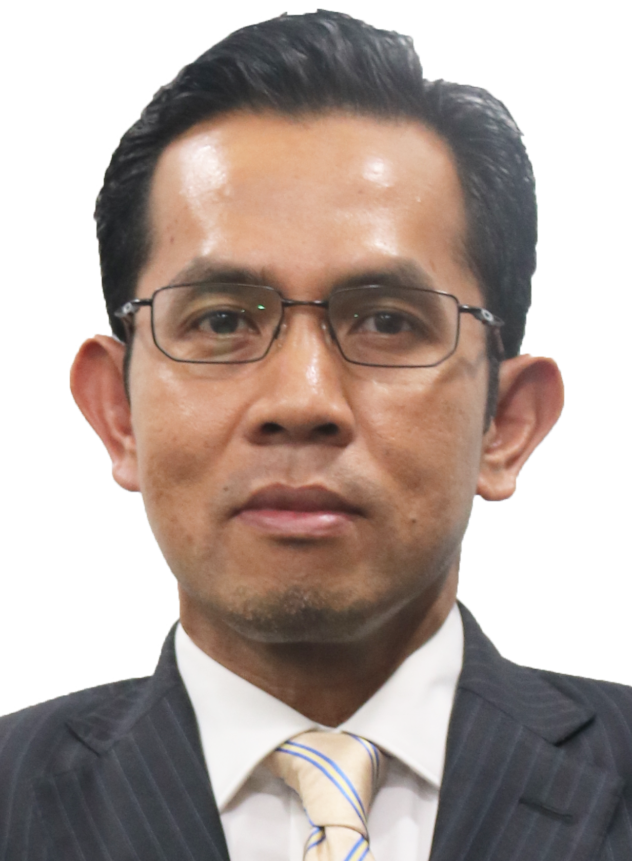 Ts. Haji Mazlan Bin Abdul Manap, A.I.S.