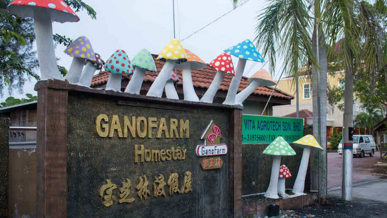 Ganofarm Homestay