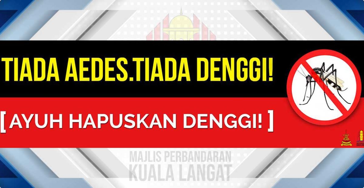 aedes